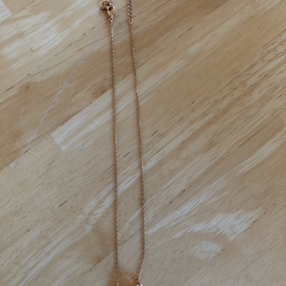 ✨Host Pick✨ Swarovski Rose Gold Necklace - Picture 2 of 4